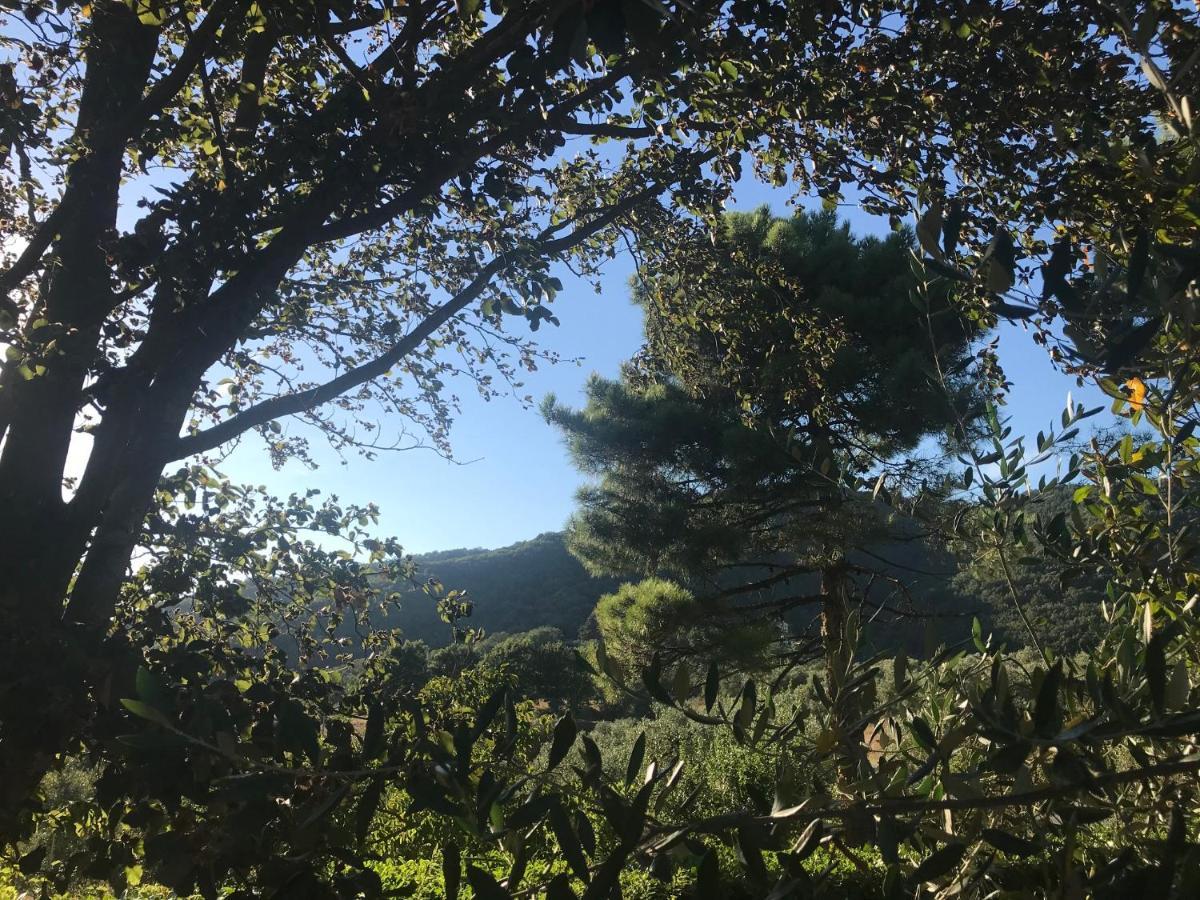 Il Podere La Casina Monsummano Terme Exterior foto