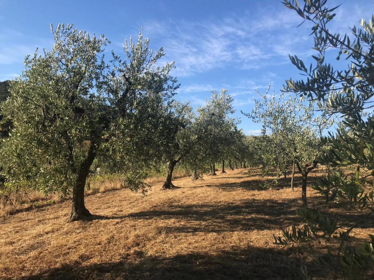 Il Podere La Casina Monsummano Terme Exterior foto