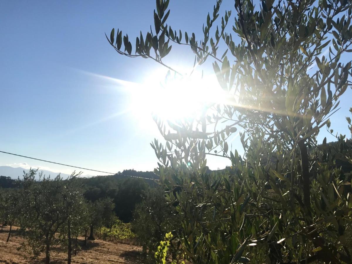 Il Podere La Casina Monsummano Terme Exterior foto